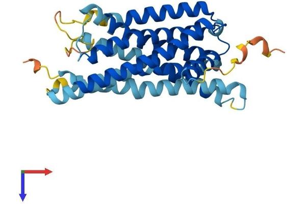 GPR31 Protein (AA 1-319) (His tag)