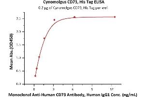 ELISA image for 5'-Nucleotidase, Ecto (CD73) (NT5E) (AA 27-554) (Active) protein (His tag) (ABIN7013525)