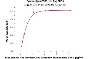 Immobilized Cynomolgus CD73, His Tag (ABIN6973020) at 2 μg/mL (100 μL/well) can bind Monoclonal A CD73 Antibody, Human IgG1 with a linear range of 0.