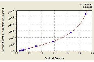 Typical standard curve (NQO1 ELISA Kit)