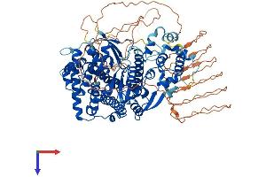 FAM120B Protein (AA 1-910) (His tag)