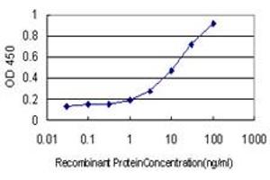 Detection limit for recombinant GST tagged TOP3B is approximately 1ng/ml as a capture antibody.