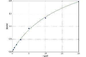A typical standard curve