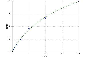 A typical standard curve (NOTCH4 ELISA Kit)
