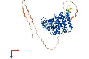Protein Structure (PS) image for Estrogen-Related Receptor alpha (ESRRA) (AA 1-422) protein (His tag) (ABIN7562172)