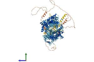 AlphaFold protein structure predicition of Human Recombinant CFTR Protein, UniprotID P13569 (CFTR Protein (AA 1-1480) (His tag))