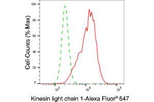 Flow cytometric analysis of kinesin light chain 1 expression in HepG2 cells using kinesin light chain 1 antibody (ABIN7799210), 1:2,000). (Rekombinanter KLC1 Antikörper)
