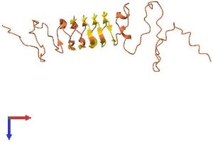 KRTAP5-8 Protein (AA 1-189) (His tag)