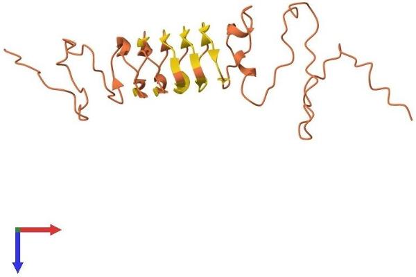 KRTAP5-8 Protein (AA 1-189) (His tag)