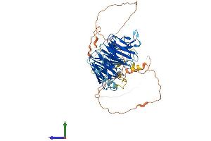 Protein Structure (PS) image for DDB1 and CUL4 Associated Factor 10 (DCAF10) (AA 1-566) protein (His tag) (ABIN7561928)