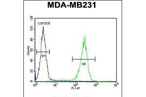 Flow cytometric analysis of MDA-MB231 cells (right histogram) compared to a negative control cell (left histogram). (RAB11FIP2 Antikörper  (AA 345-374))