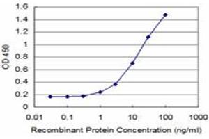 Detection limit for recombinant GST tagged MEF2A is approximately 1ng/ml as a capture antibody. (MEF2A Antikörper  (AA 71-170))
