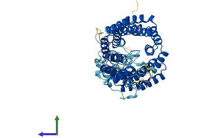 Protein Structure (PS) image for Tetratricopeptide Repeat Domain 8 (TTC8) (AA 1-515) protein (His tag) (ABIN7564740)