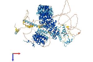 SF3B1 Protein (AA 1-1304) (His tag)
