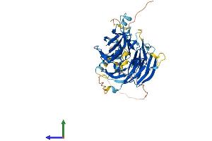 Protein Structure (PS) image for DDB1 and CUL4 Associated Factor 12-Like 2 (DCAF12L2) (AA 1-463) protein (His tag) (ABIN7546965)