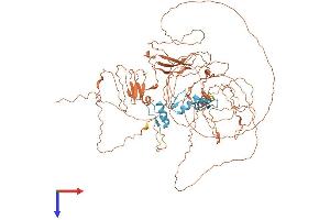 AlphaFold protein structure predicition of Human Recombinant SP4 Protein, UniprotID Q02446 (SP4 Protein (AA 1-784) (His tag))