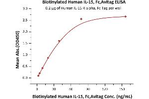 Immobilized Human IL-15 R alpha, Fc Tag (ABIN6731259,ABIN6809889) at 2 μg/mL (100 μL/well) can bind Biotinylated Human IL-15, Fc,Avitag (ABIN6731260,ABIN6809922) with a linear range of 2-78 ng/mL (QC tested). (IL-15 Protein (AA 49-162) (Fc Tag,AVI tag,Biotin))