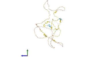 AlphaFold protein structure predicition of Human Recombinant FAM53A Protein, UniprotID Q6NSI3