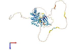 HNRNPK Protein (AA 1-463) (His tag)
