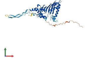 Protein Structure (PS) image for TruB Pseudouridine (Psi) Synthase Homolog 2 (TRUB2) (AA 1-331) protein (His tag) (ABIN7544830)