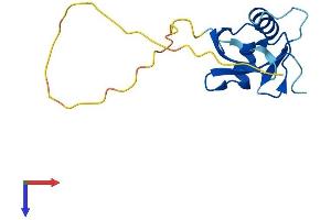 ATG12 Protein (AA 1-141) (His tag)