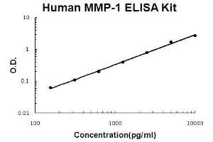 Human MMP-1 PicoKine ELISA Kit standard curve (MMP1 ELISA Kit)