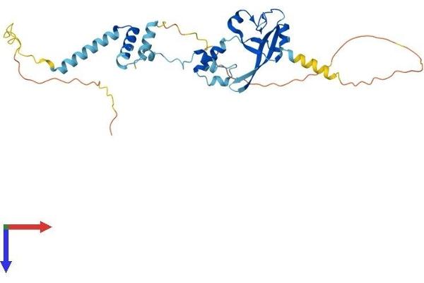 FRA10AC1 Protein (AA 1-315) (His tag)