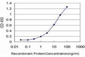 Detection limit for recombinant GST tagged CSE1L is approximately 0. (Exportin 2 Antikörper  (AA 872-971))