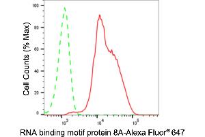 Flow cytometric analysis of RNA binding motif protein 8A expression in HeLa cells using RNA binding motif protein 8A antibody (ABIN7800255), 1:2,000). (Rekombinanter RBM8A Antikörper)