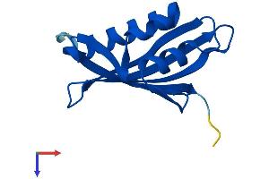 NUTF2 Protein (AA 1-127) (His tag)