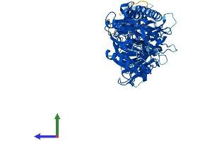 Protein Structure (PS) image for Peptidyl Arginine Deiminase, Type III (PADI3) (AA 1-664) protein (His tag) (ABIN7556376)