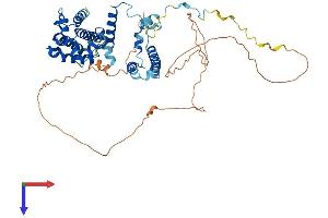 FAM98A Protein (AA 1-515) (His tag)