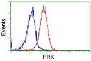 Flow cytometric Analysis of Jurkat cells, using anti-FRK antibody (ABIN2453819), (Red), compared to a nonspecific negative control antibody, (Blue). (FRK Antikörper)