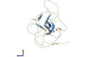 Protein Structure (PS) image for Prospero Homeobox 2 (PROX2) (AA 1-593) protein (His tag) (ABIN7558679)
