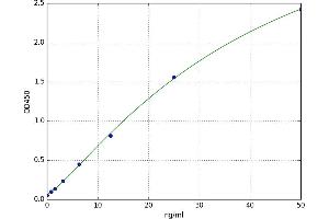 A typical standard curve (Fascin ELISA Kit)