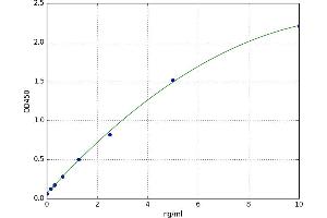 CD8a Molecule (CD8A) ELISA Kit
