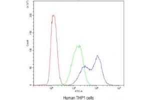 Flow cytometry testing of human THP1 cells with BIK antibody at 1ug/10^6 cells (blocked with goat sera) (BIK Antikörper  (AA 1-123))