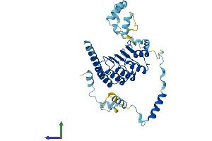 Protein Structure (PS) image for Tropomodulin 4 (TMOD4) (AA 1-345) protein (His tag) (ABIN7561674)
