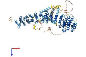 EFR3A Protein (AA 1-819) (His tag)