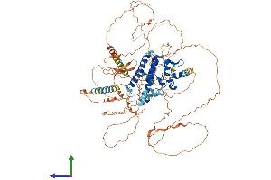AlphaFold protein structure predicition of Human Recombinant YY1AP1 Protein, UniprotID Q9H869
