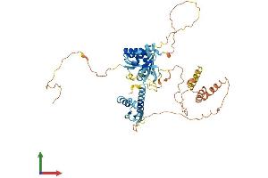 AlphaFold protein structure predicition of Mouse Recombinant Nova1 Protein, UniprotID Q9JKN6