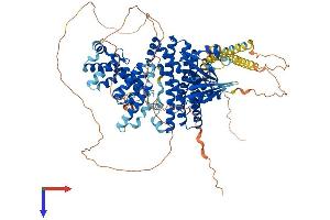 ARHGEF1 Protein (AA 1-920) (His tag)