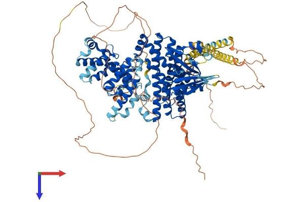 ARHGEF1 Protein (AA 1-920) (His tag)