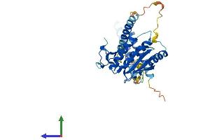 Protein Structure (PS) image for Mediator Complex Subunit 27 (MED27) (AA 1-311) protein (His tag) (ABIN7561259)