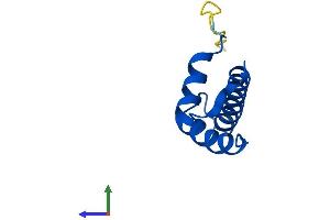 Protein Structure (PS) image for Centromere Protein W (CENPW) (AA 1-88) protein (His tag) (ABIN7553310)
