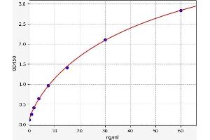 HSPE1 ELISA Kit