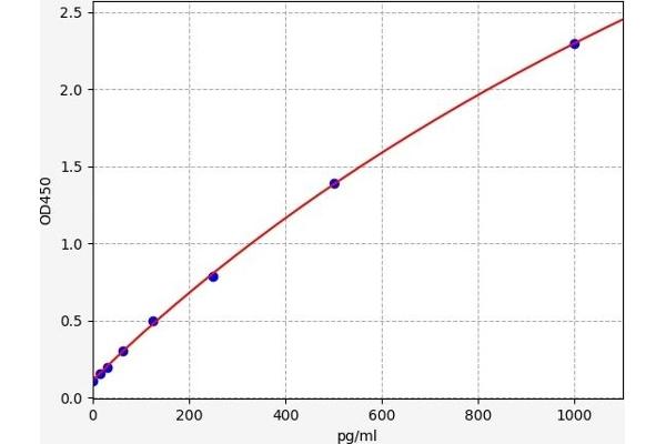 Ataxin 1 ELISA Kit