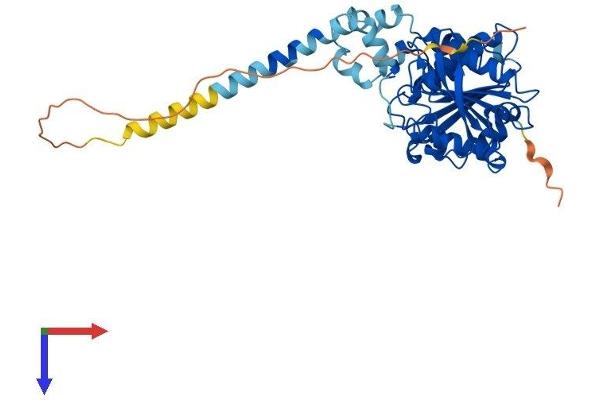 ABHD12 Protein (AA 1-398) (His tag)