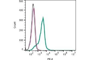Cell surface detection of Opsin 3 by indirect flow cytometry in live intact human  monocytic leukemia cell line: + goat-anti-rabbit-PE. (OPN3 Antikörper  (Extracellular))