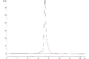 Size-exclusion chromatography-High Pressure Liquid Chromatography (SEC-HPLC) image for Oncostatin M Receptor (OSMR) (AA 28-740) protein (His tag) (ABIN7275384)
